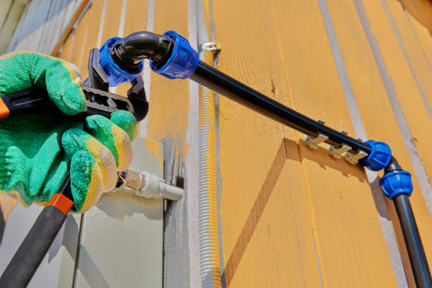 Best Best Plumbers Near Me  in Golden Meadow, LA